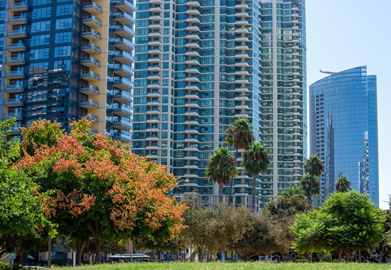 Rental Management Services